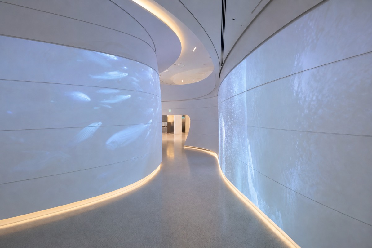 The Museum of the Future in Dubai