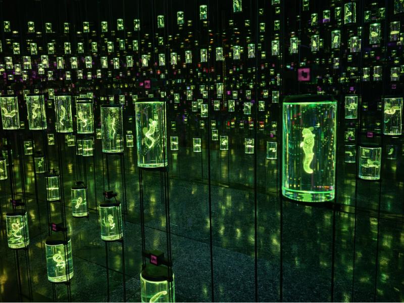 our mission at Museum Of The Future Tickets